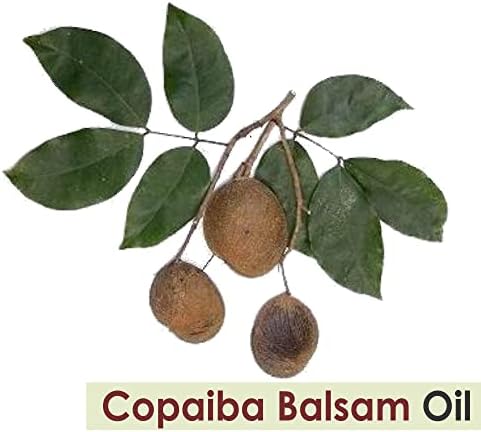 Crysalis copaiba Balsam Oil | טהור וטבעי לא מדולל שמן -250 מל